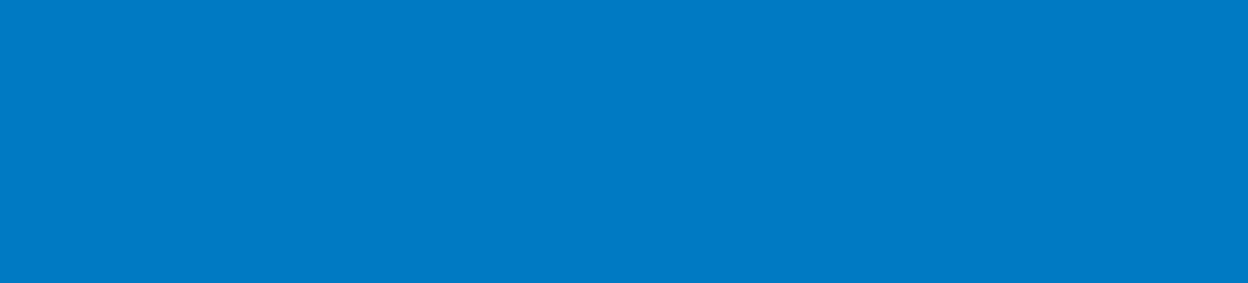 SVDP Banner.jpg